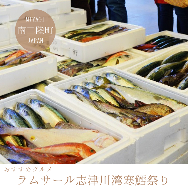 ラムサール志津川湾寒鱈祭り