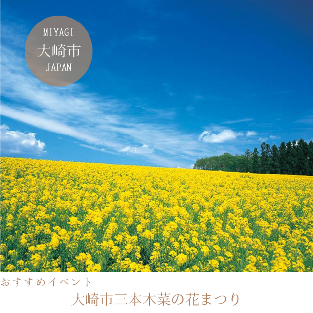 大崎市三本木菜の花まつり