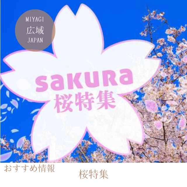 桜特集