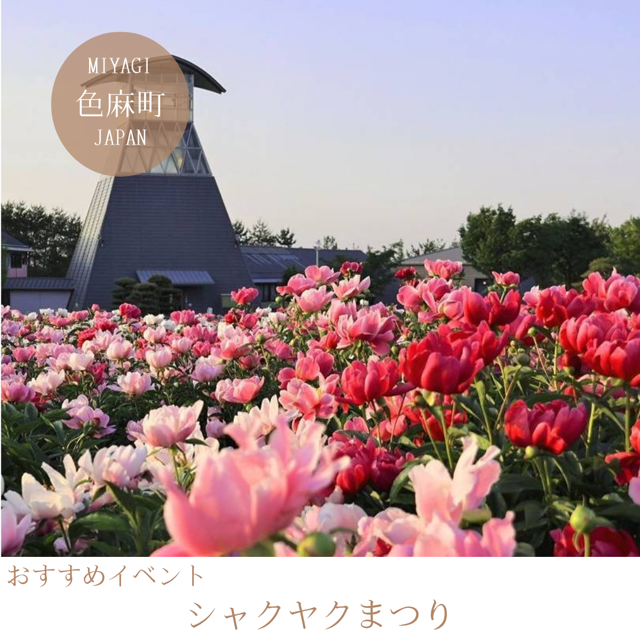 シャクヤクまつり