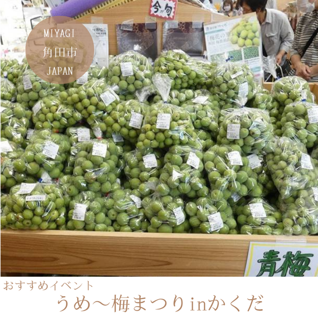 うめ～梅まつりinかくだ