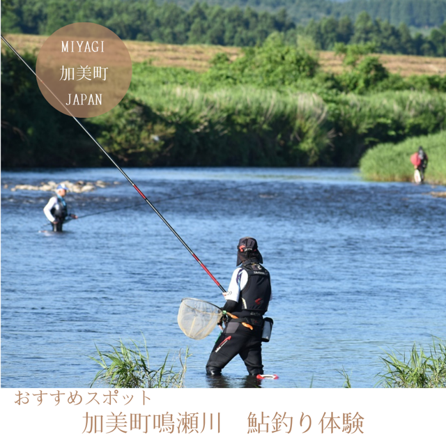 加美町鳴瀬川　鮎釣り体験
