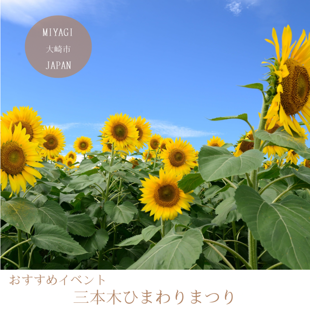 三本木ひまわりまつり
