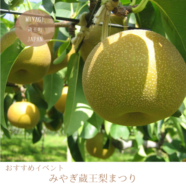 蔵王梨まつり