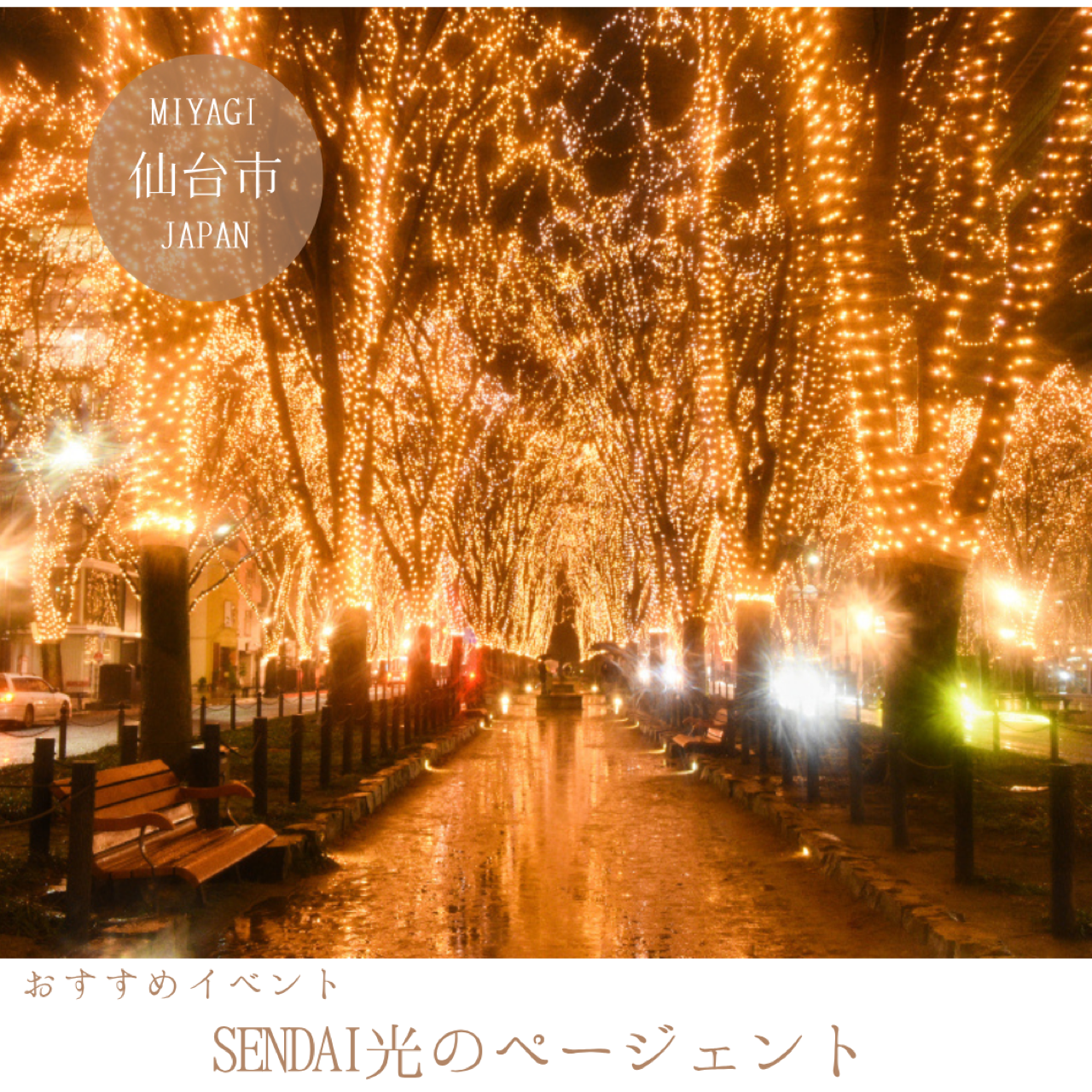 SENDAI光のページェント 