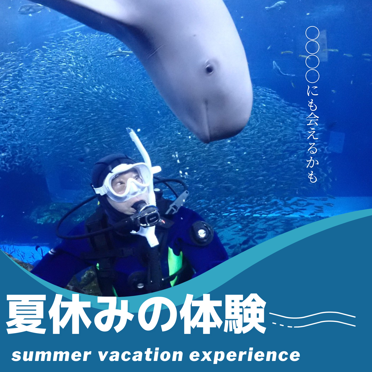 夏休み体験